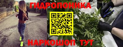 гидропоника Кулебаки