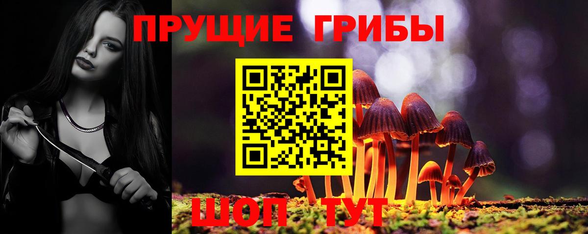 Псилоцибиновые грибы GOLDEN TEACHER  Вход с VPN  Курск 